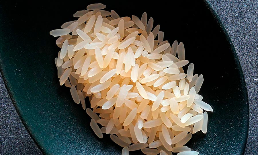Las mejores ofertas en Cocinas de arroz blanco