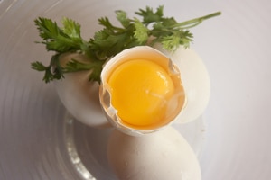 Los huevos de gallinas alimentadas con AOVE tienen niveles reducidos de colesterol y son más saludables