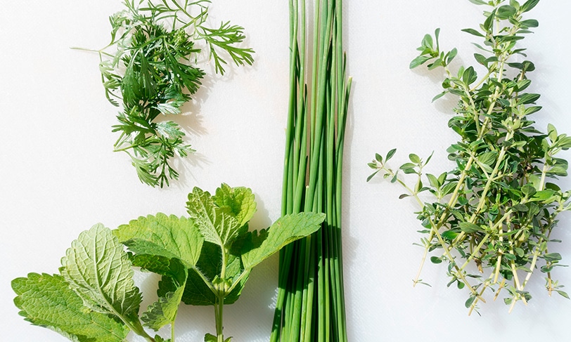 Las hierbas aromáticas, el toque especial - La Española Aceites Las hierbas aromáticas, el toque especial - La Española Aceites