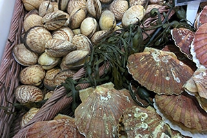 Este verano, la seguridad alimentaria está en tus manos