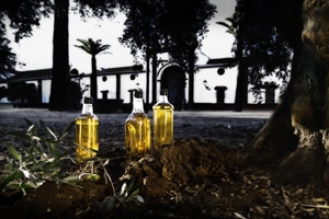 El aceite de oliva, entre los productos más valorados por los turistas extranjeros en España