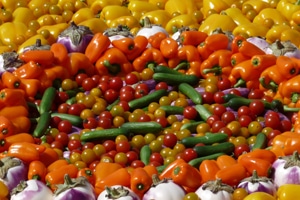 Seguir las pautas de la Dieta Mediterránea podría prevenir enfermedades cerebrovasculares, como el ictus