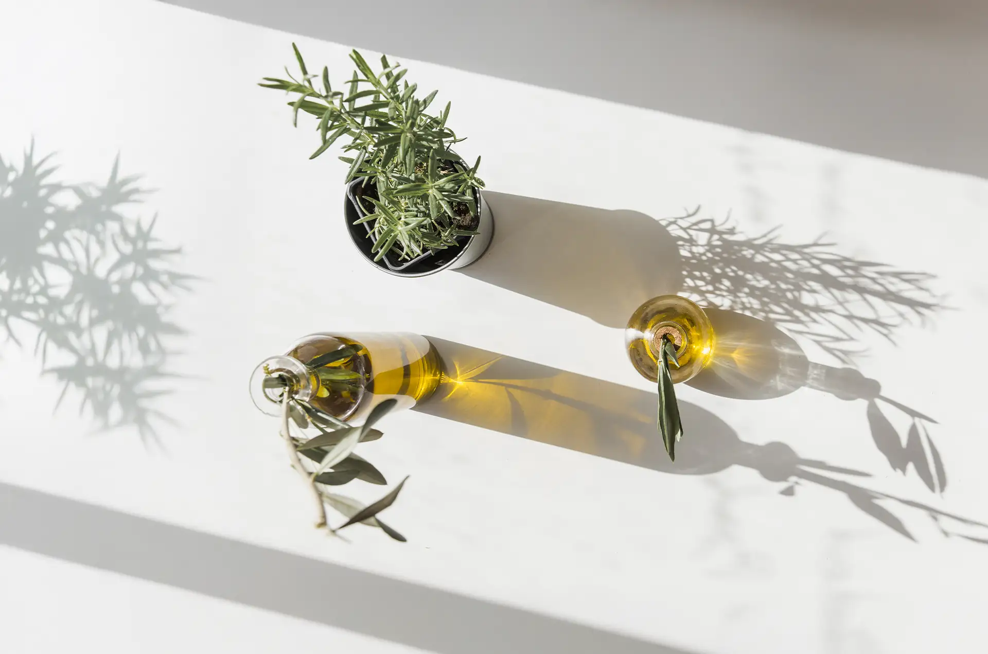 Aceite de oliva en botella de cristal junto a ramas de olivo, destacando sus propiedades antiinflamatorias