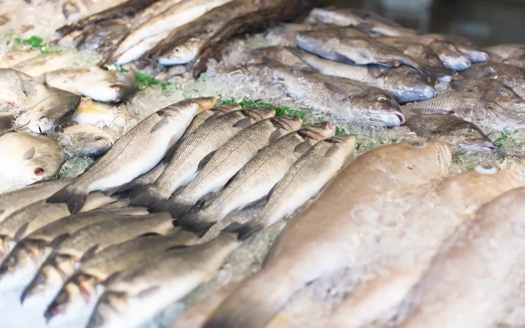 Pescados con mercurio: ¿cuáles son?