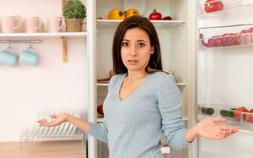 ¿Cuánto dura la comida en la nevera y el congelador en un apagón eléctrico?