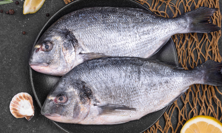 Frescura del pescado según el olor